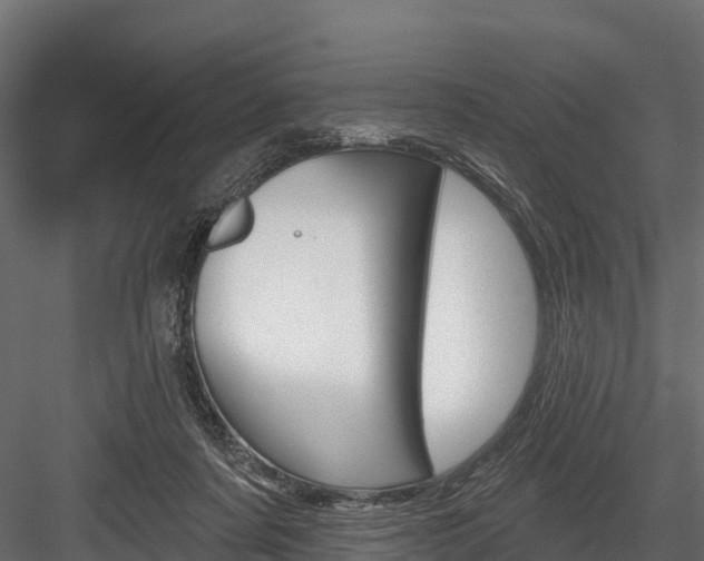 X0000084560311200702231008