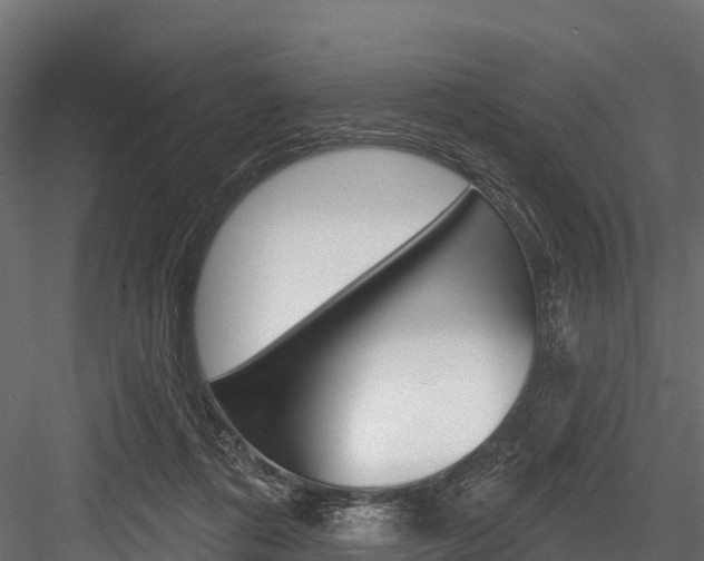 X0000084560312200702231008