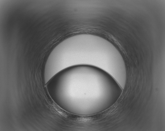 X0000084560313200702231008