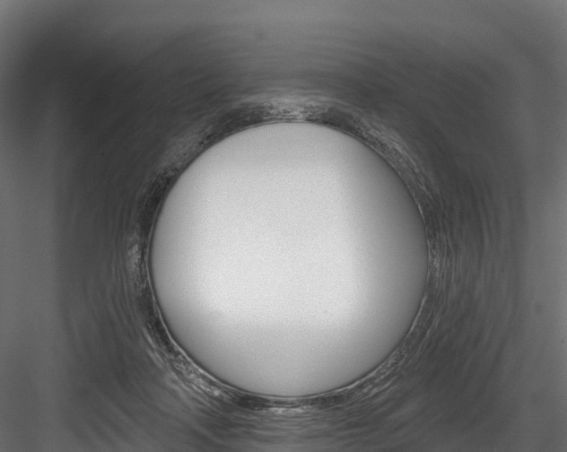 X0000084560314200702231008