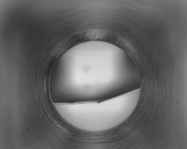 X0000084560315200702231008