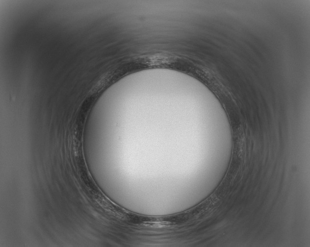 X0000084560316200702231008