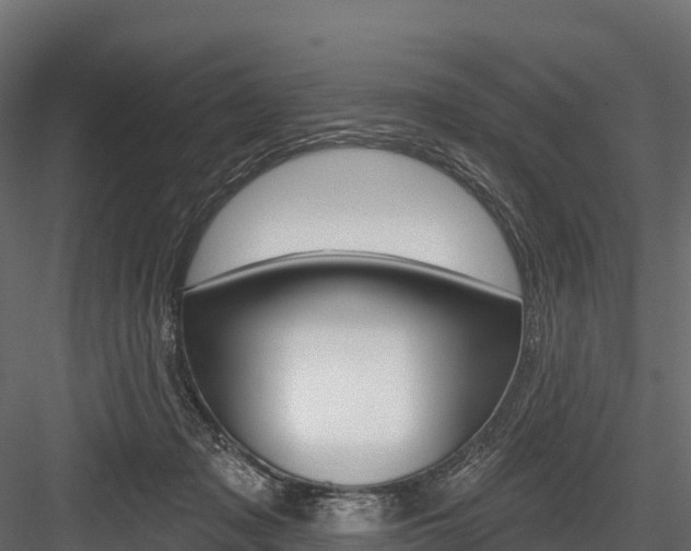 X0000084560317200702231008
