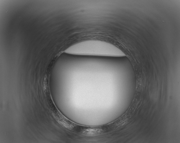 X0000084560323200702231008