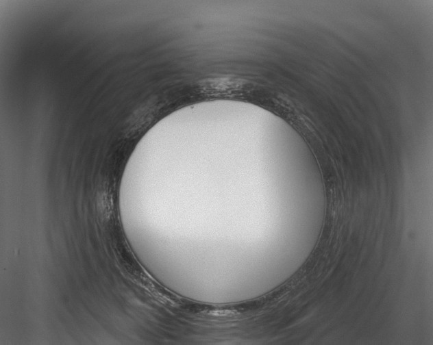 X0000084560324200702231008