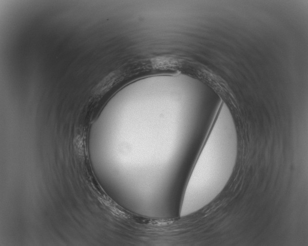 X0000084560329200702231008