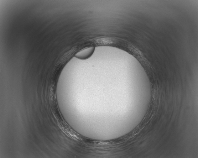 X0000084560330200702231008