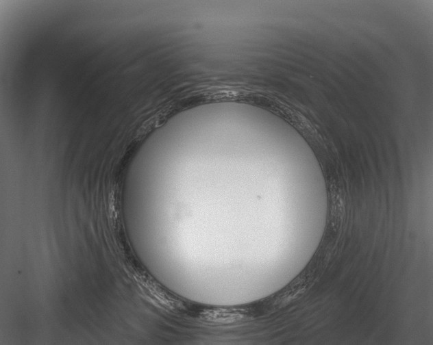X0000084560331200702231008