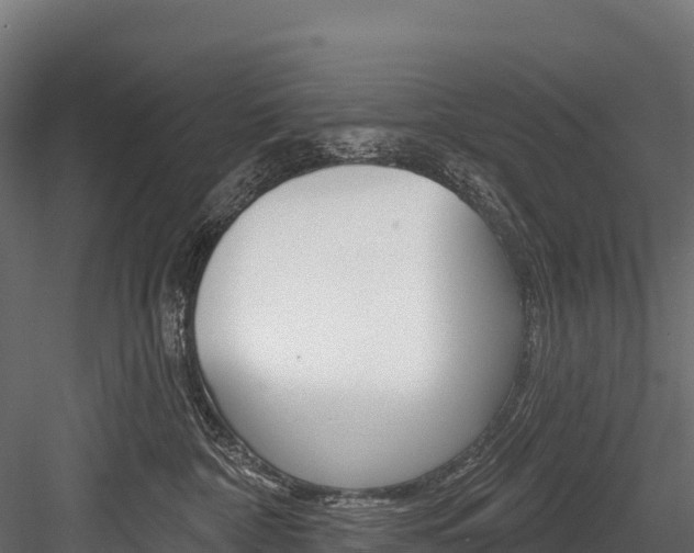 X0000084560332200702231008