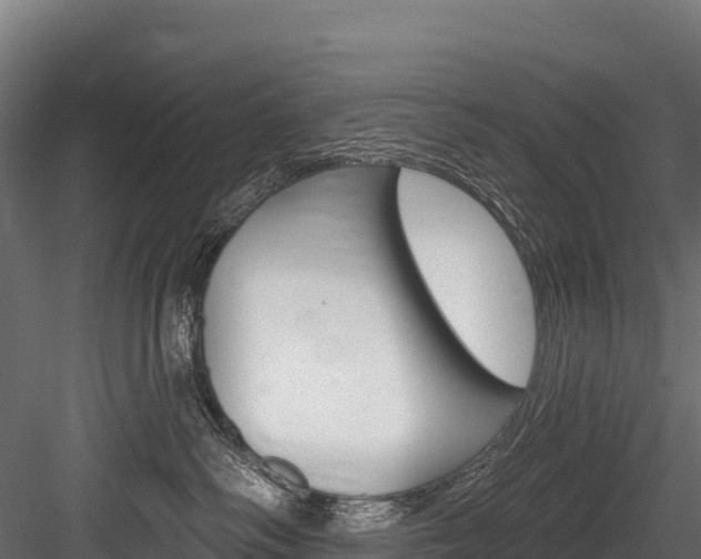 X0000084560334200702231008