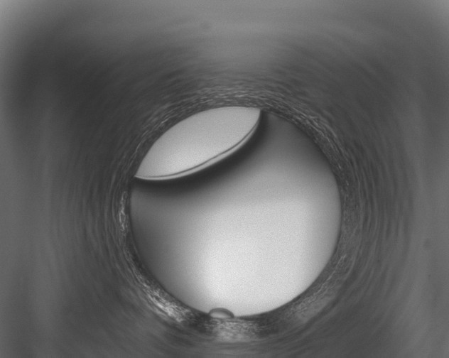 X0000084560336200702231008