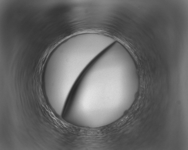 X0000084560337200702231007