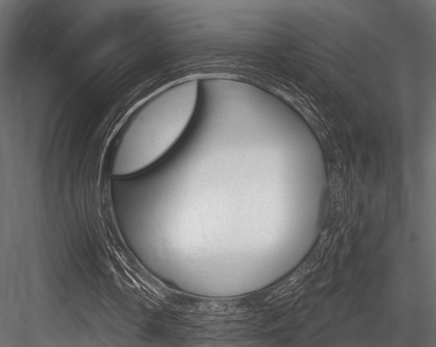 X0000084560338200702231007