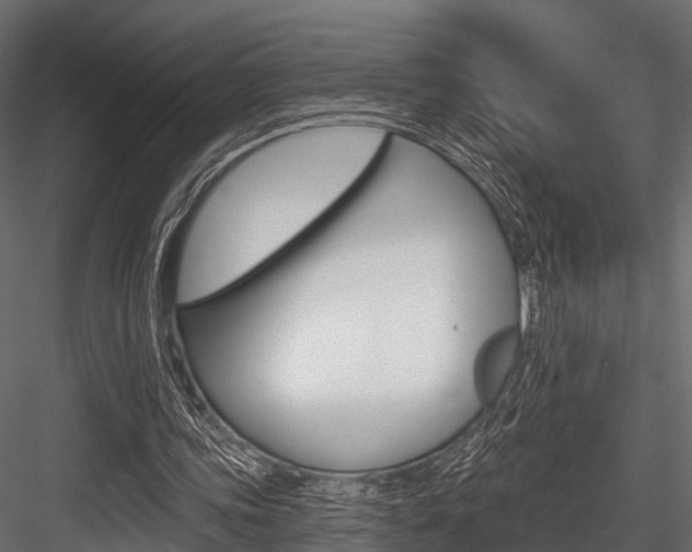 X0000084560339200702231007