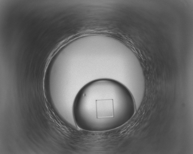 X0000084560340200702231007