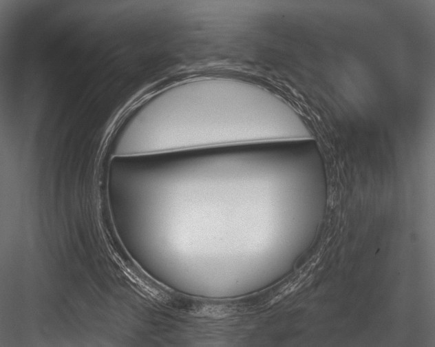X0000084560341200702231007