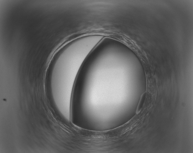 X0000084560344200702231007