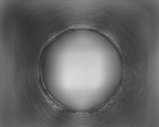X0000084560345200702231007
