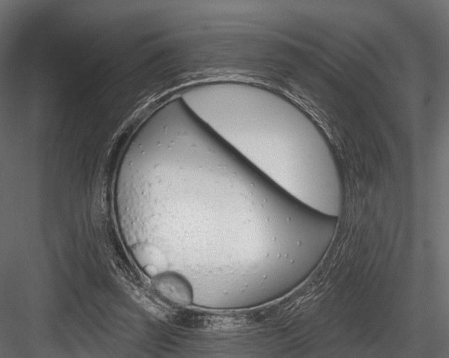 X0000084560347200702231007