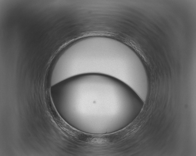 X0000084560348200702231007
