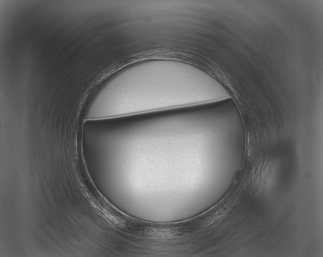 X0000084560349200702231007
