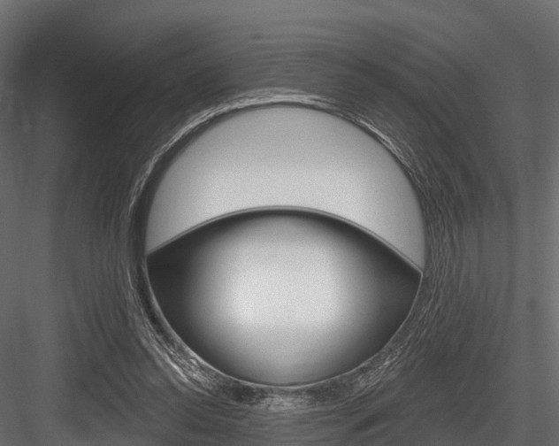 X0000084560350200702231007