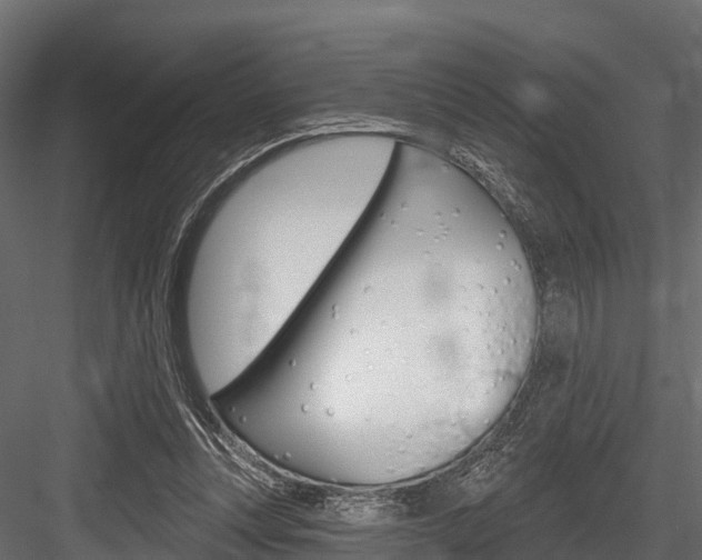X0000084560351200702231007