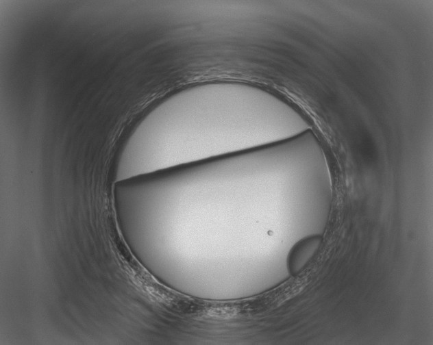 X0000084560353200702231007
