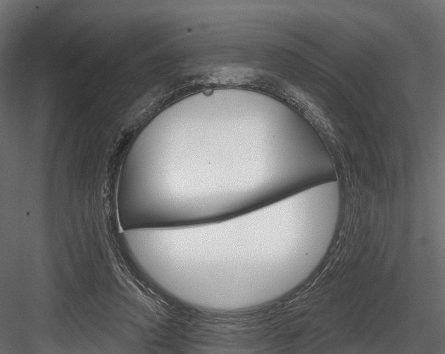 X0000084560354200702231007