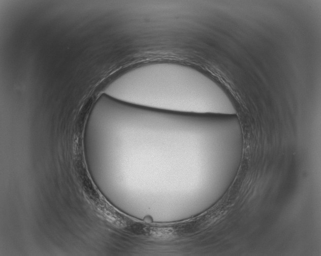 X0000084560355200702231007
