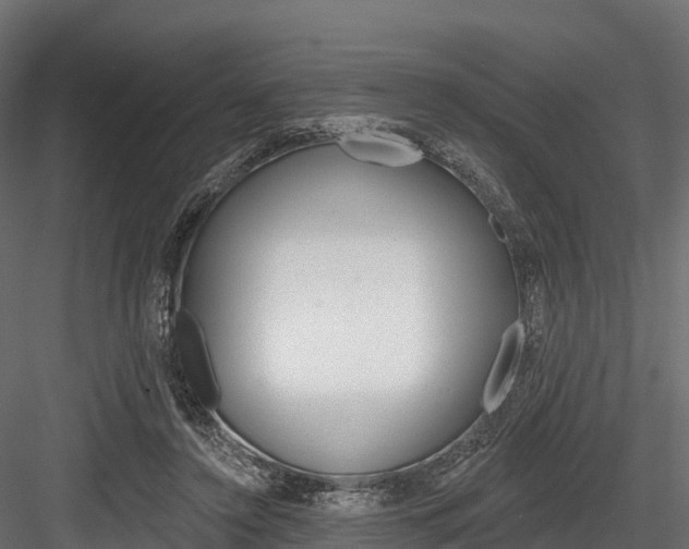 X0000084560356200702231008