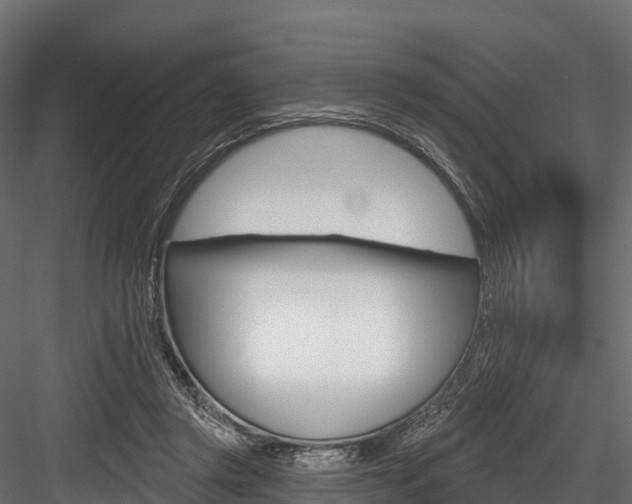 X0000084560357200702231008