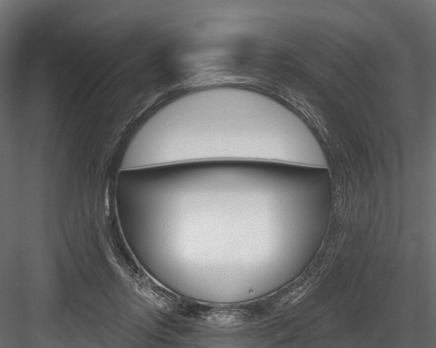 X0000084560358200702231008