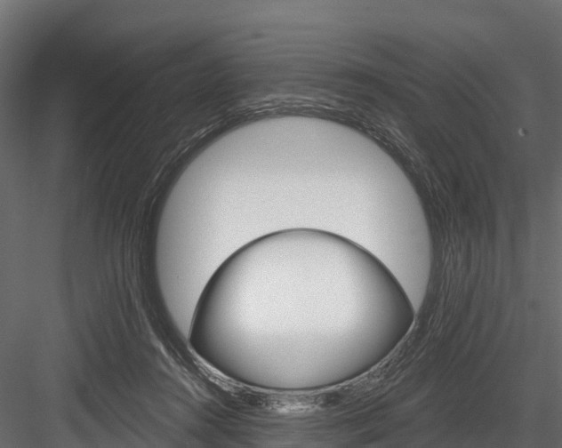 X0000084560360200702231008