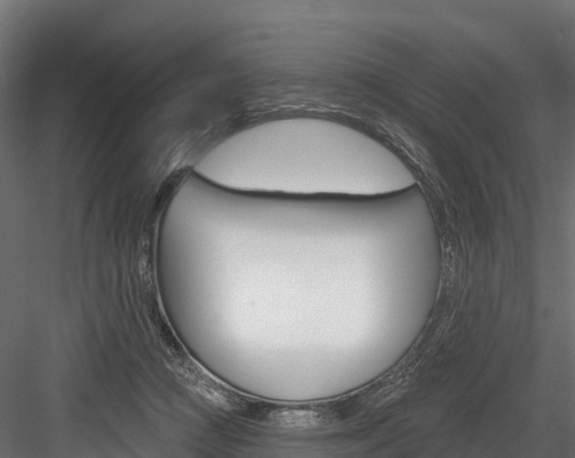 X0000084560361200702231008