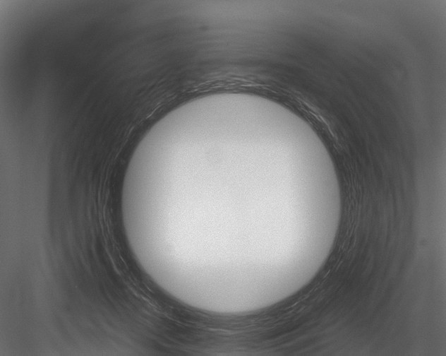 X0000084560362200702231008