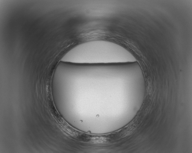 X0000084560363200702231008