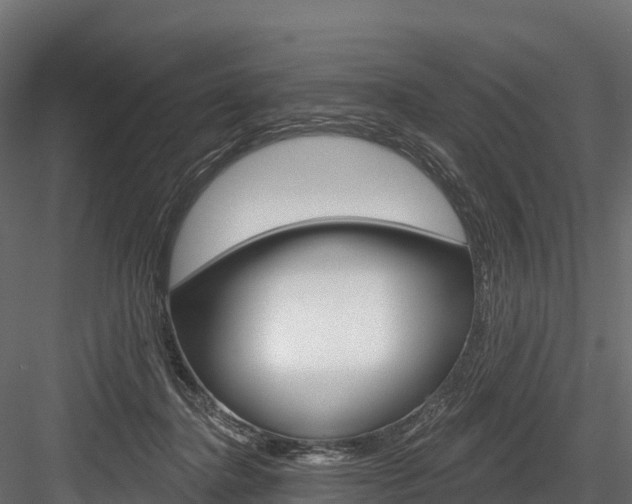 X0000084560364200702231008
