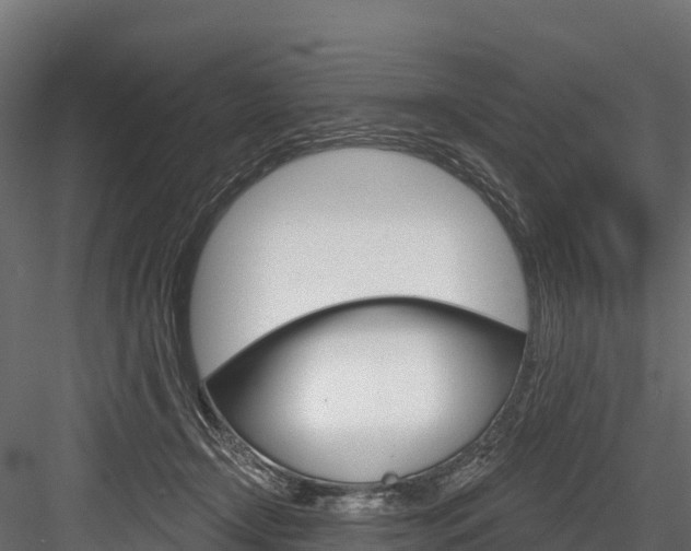 X0000084560366200702231008