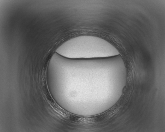 X0000084560367200702231008