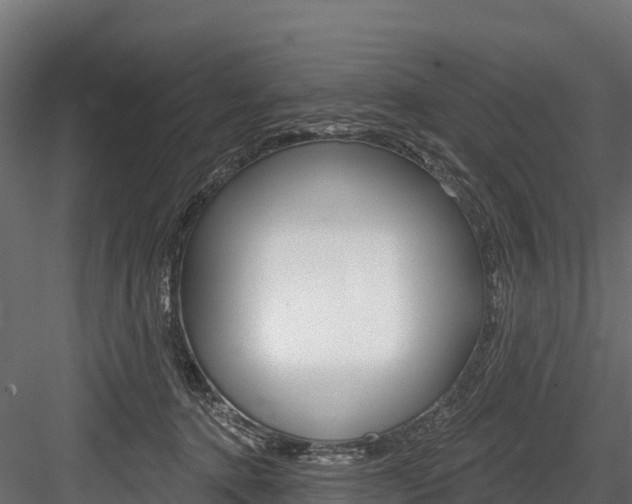 X0000084560368200702231008