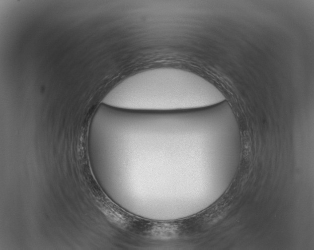 X0000084560369200702231008