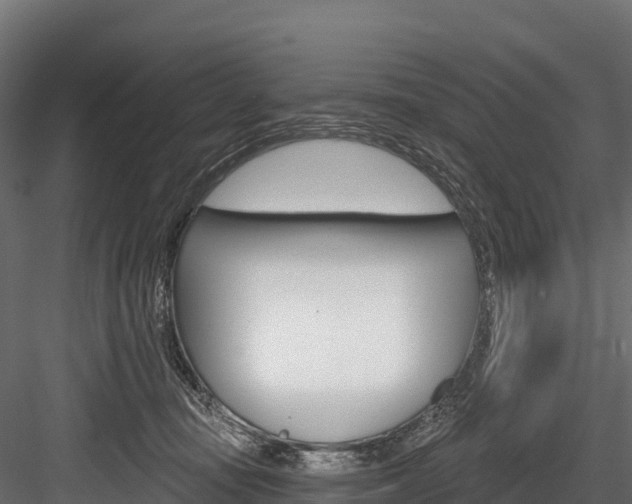 X0000084560371200702231008