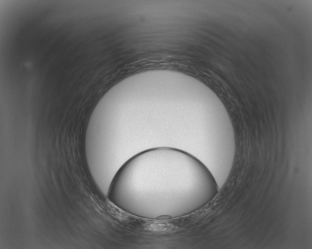 X0000084560372200702231008