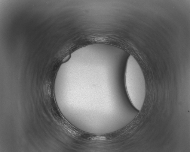 X0000084560374200702231008