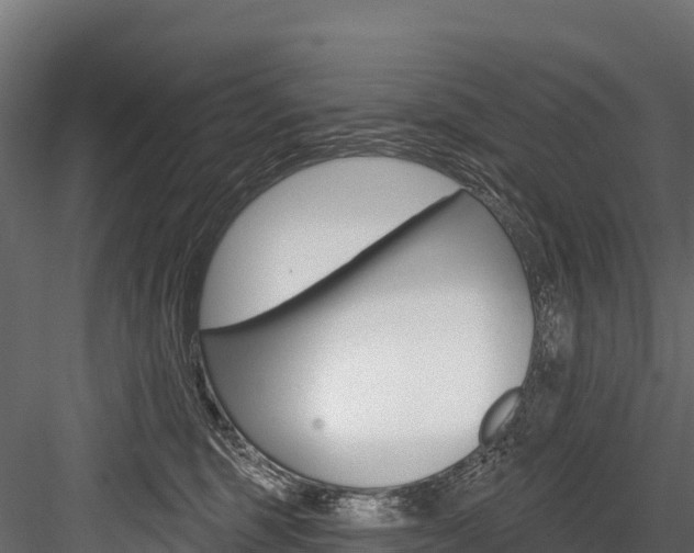 X0000084560375200702231008