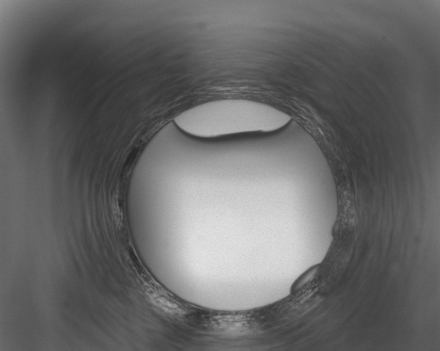 X0000084560377200702231008