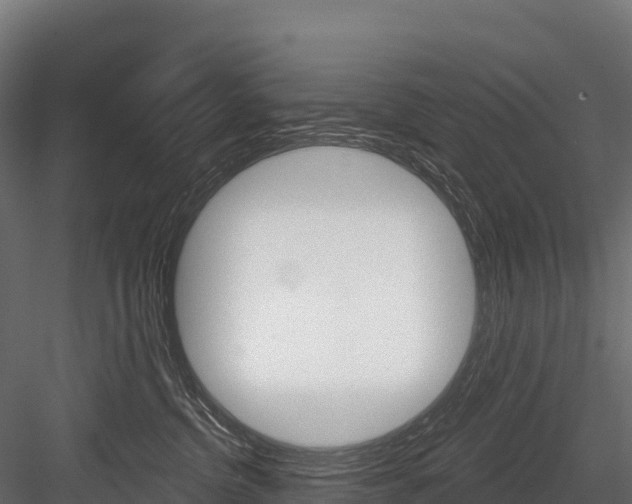 X0000084560380200702231008