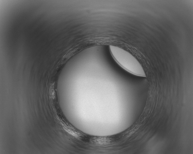 X0000084560383200702231008