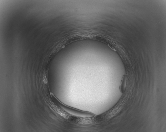 X0000084560384200702231008